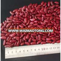 British Red Kidney Beans,Dark Red Kidney Bean