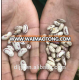 2017 New Long Shape Kidney Beans(Heilongjiang)