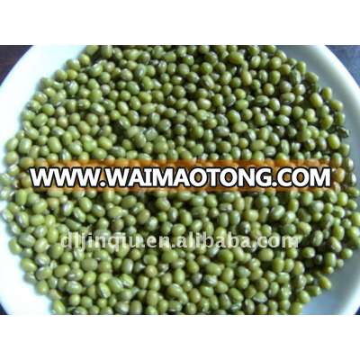 green mung beans