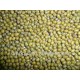 Chinese green mung bean for human consumption 2012 crop