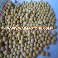 organic roasted soybean (yellow or black)