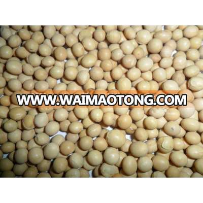 Chinese yellow soybean