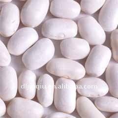 white kidney bean