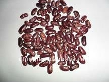 purple speckled kidney bean