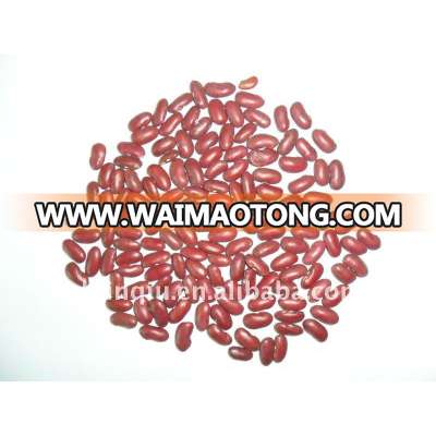 red kidney beans dongbei origin