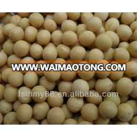 Big Yellow bean/soya bean/soybean 6.8-9.0mm