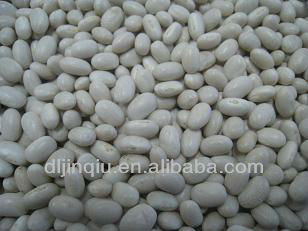 hps alubia white kidney beans 2012 crop