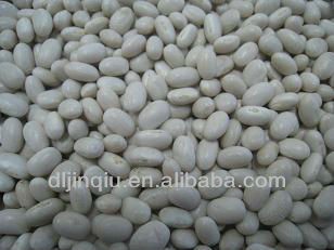 hps alubia white kidney beans 2012 crop