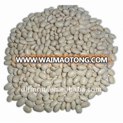 white kidney beans japanese type