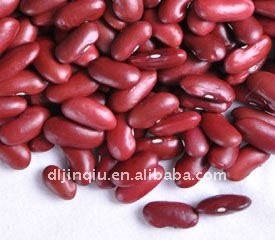 HPS dark red kidney bean