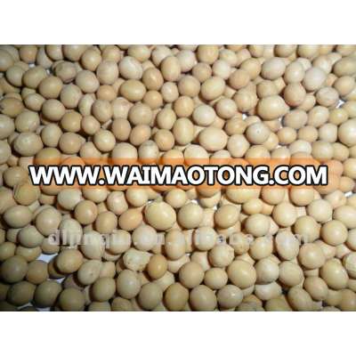 high quality soybean 2012 crop