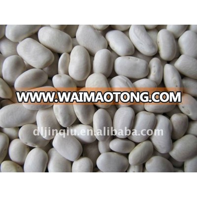 medium white kidney bean 2011 crop