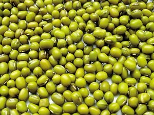 green mung bean