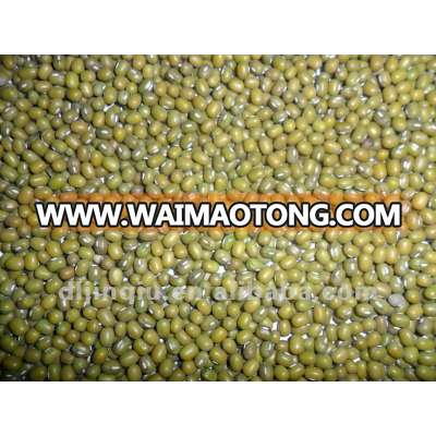 green mung bean for human consumption