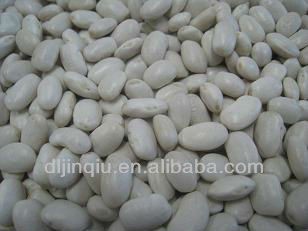 hps medium white kidney bean 2013 crop