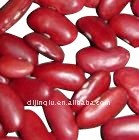 dark red kidney bean