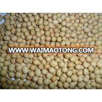 Chinese yellow soybean