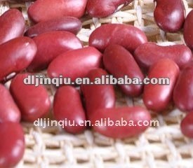 dark red kidney bean