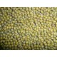 Chinese green mung bean for germination 2012 crop