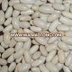 White Kidney Beans Long Shape